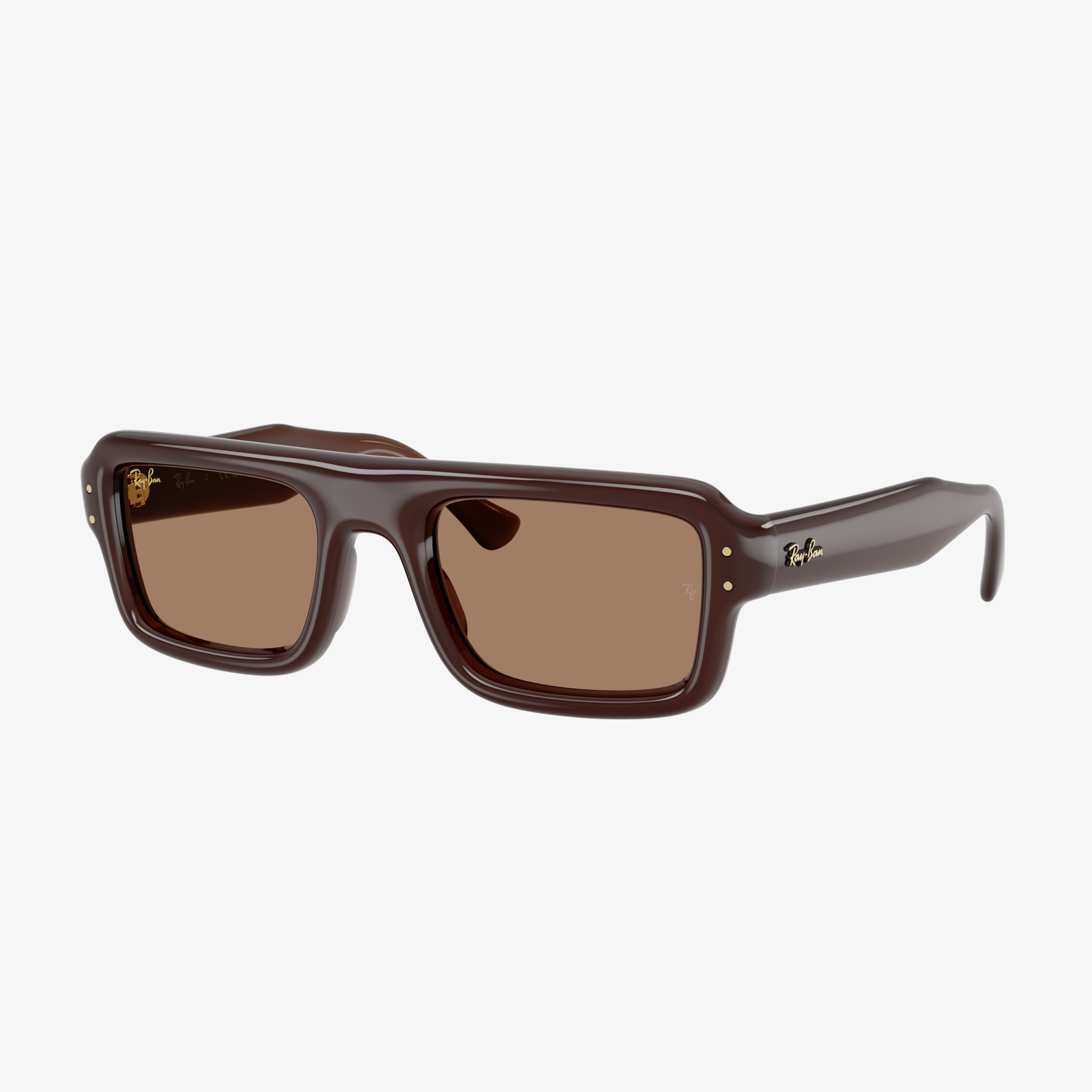 Ray-Ban by A$AP Rocky RB4954 689673 - Marrone scuro trasparente