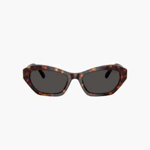 Alternative view of  Swarovski SK6048 100287 - Havana