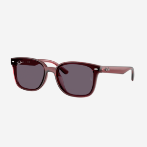 Occhiali da sole Ray-Ban RB4461D 659373 - Marrone scuro trasparente