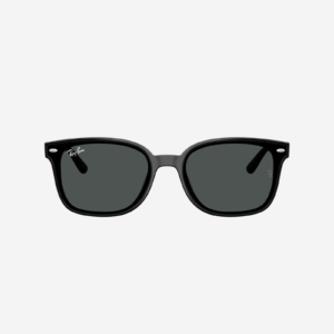 Alternative view of Occhiali da sole Ray-Ban RB4461D 601/87 - Nero