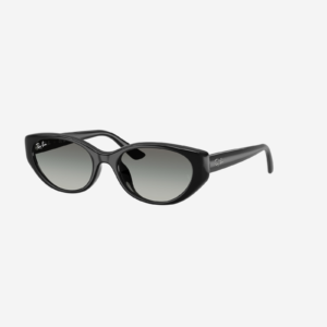  Ray-Ban RB4457D 667711 - Nero