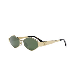  Celine CL40254U 30N