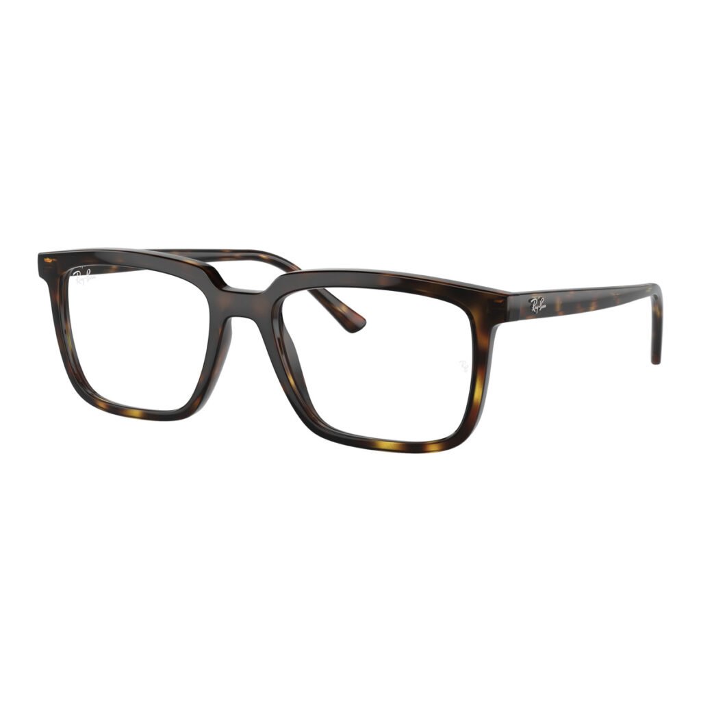 Ray-Ban Alain RX7239 - 2012